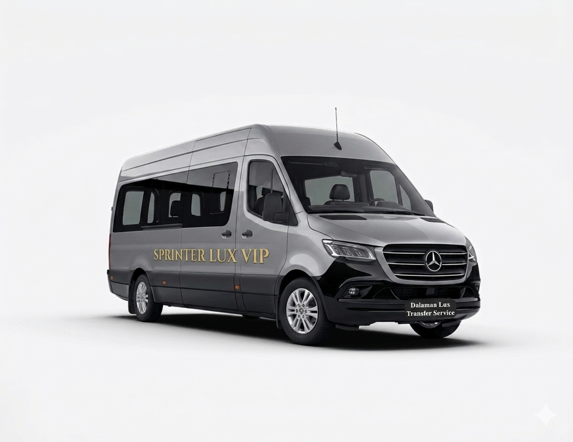 Mercedes Sprinter Lux VIP
