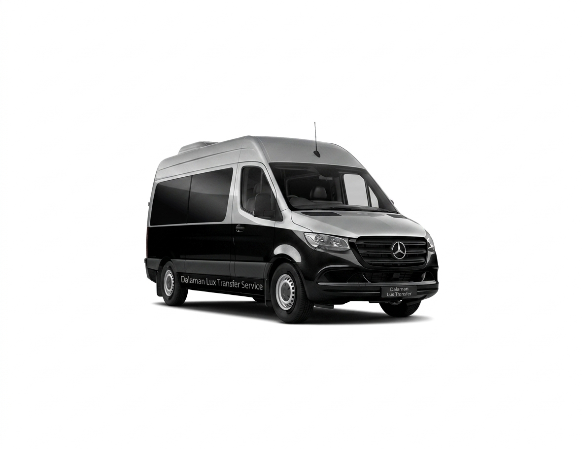 Mercedes Sprinter VIP