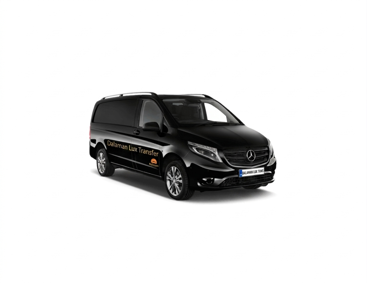 Mercedes Vito VIP